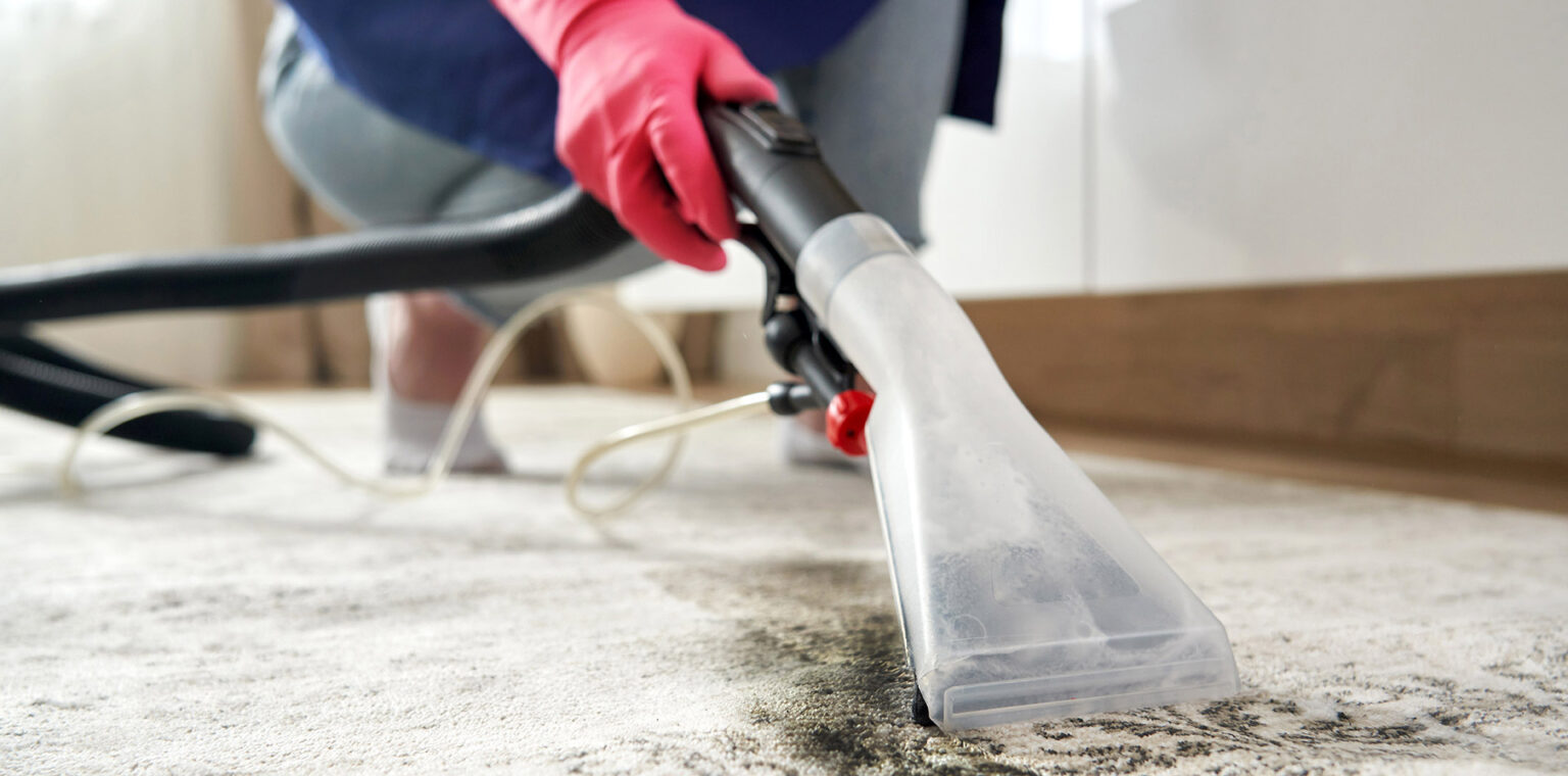 Professionelle Teppich- und Polsterreinigung